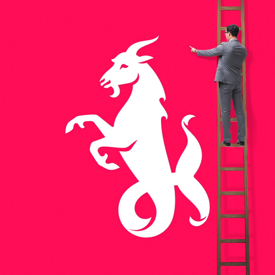 A cover image for Plava Laguna case study